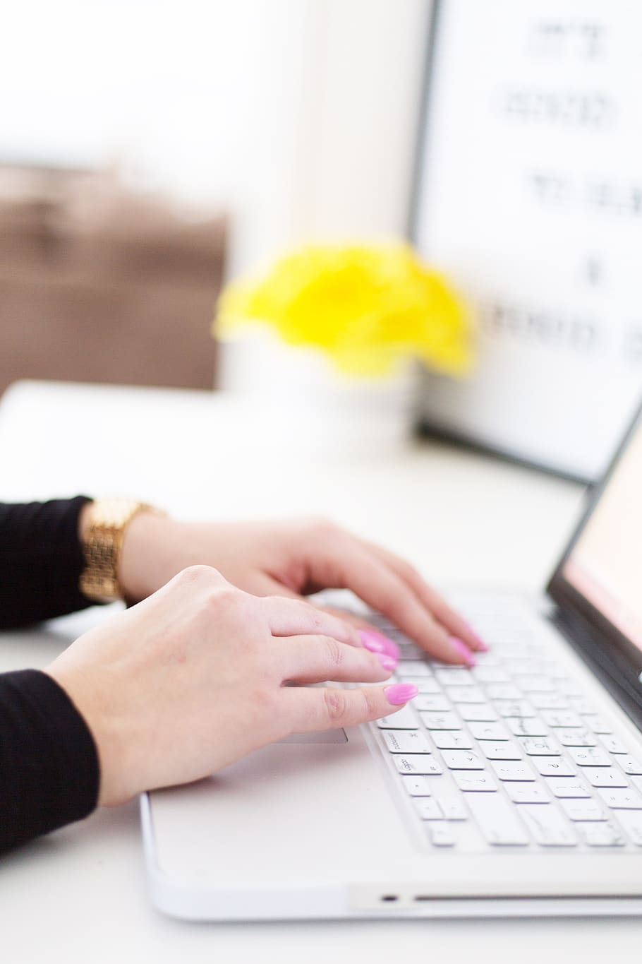 laptop-typing-woman-working-designer-business