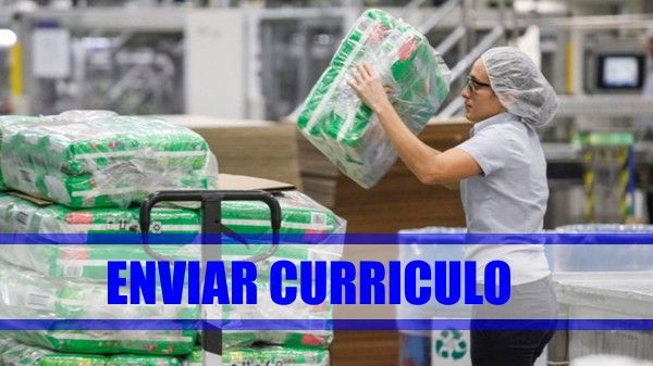 curriculo-kimberly-clark