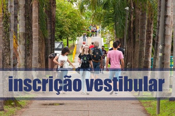 Vestibular Ufsc 2022 Cursos Vagas Inscrições Ief Notícias