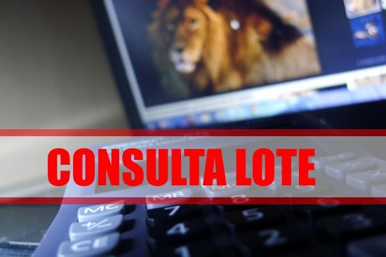 consultar-lote-imposto-de-renda