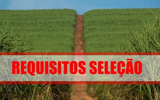 requisitos-selacao-trabalha-na-guarani