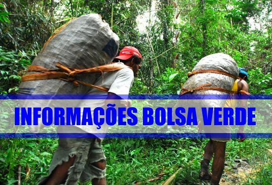 bolsa-verde-informacoes