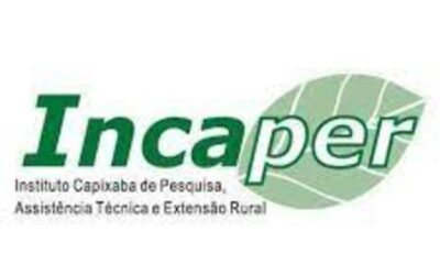 concurso incaper (1)