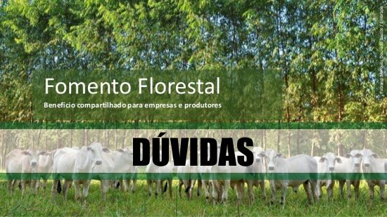 duvidas-programa-fomento-florestal