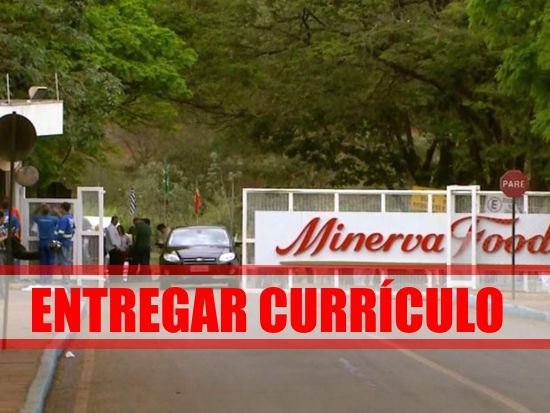 entregar-curriculo-minerva