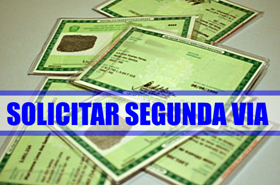 solicitar-segunda-via-rg-rio-grande-do-sul