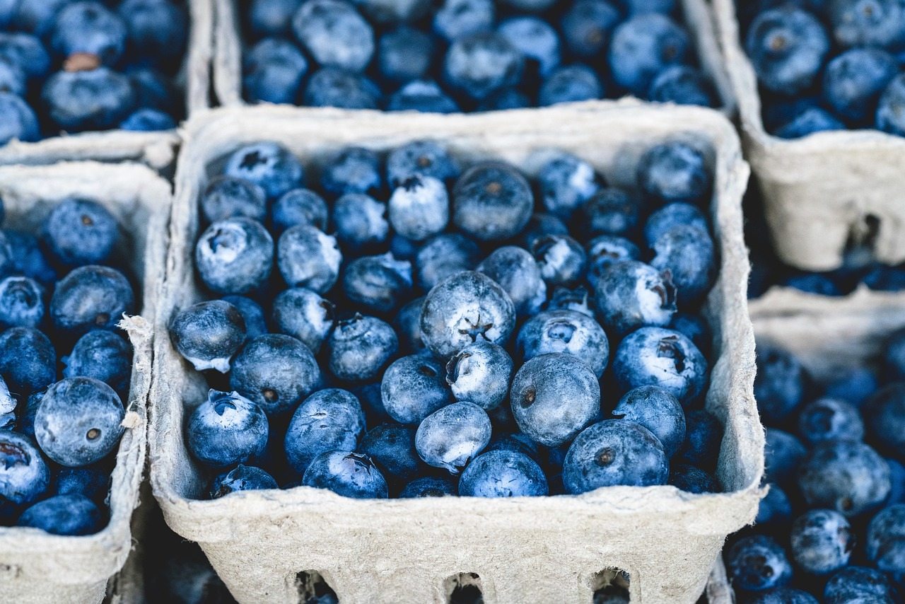 blueberries-g8bab65f50_1280