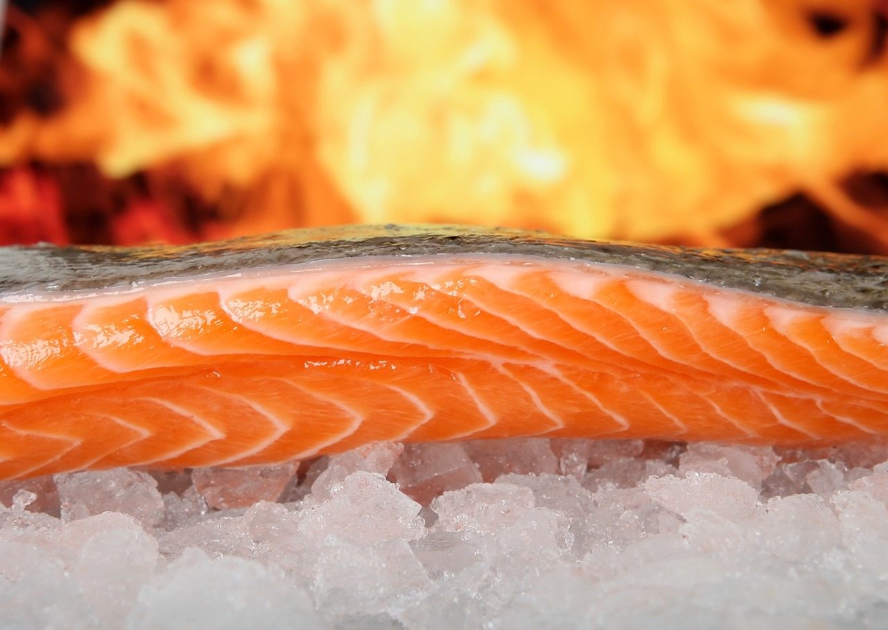 salmon-g153f454f6_1280