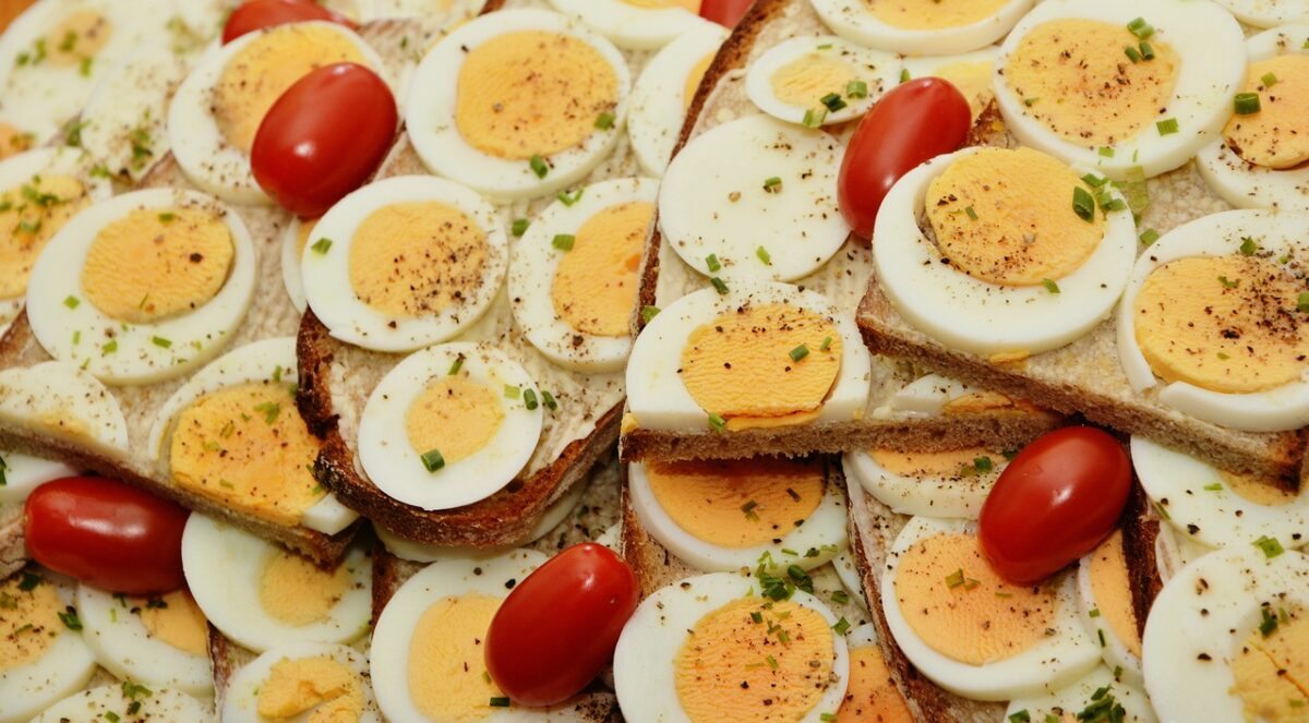 egg-sandwich-2761894_1280-1200x663