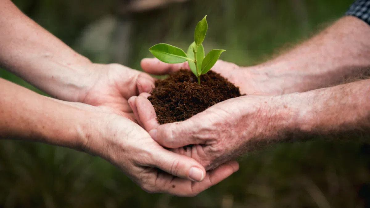 curso-de-gestao-ambiental