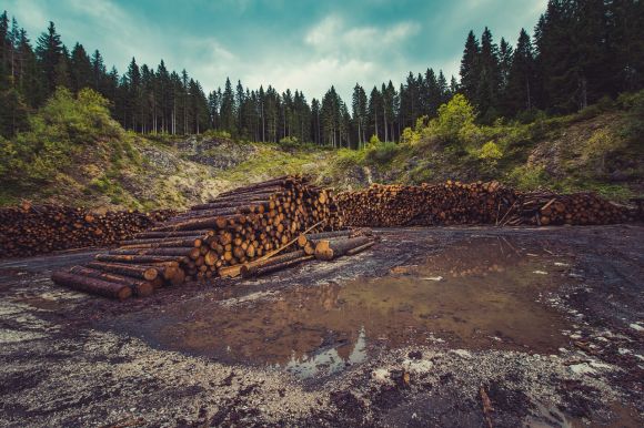 o-brasil-esta-em-crise-ambiental