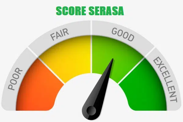 score-serasa-dicas